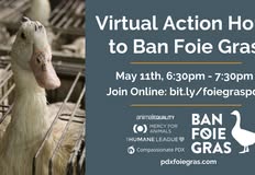 Animal Rights Collective Portland