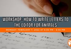 Animal Rights Collective Portland