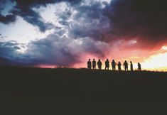 Animal Rights Collective Portland