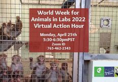 Animal Rights Collective Portland