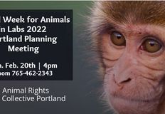 Animal Rights Collective Portland