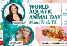 Animal Rights Collective Portland