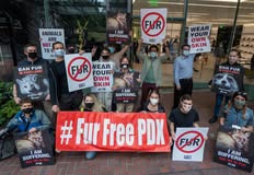 Animal Rights Collective Portland