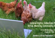 Animal Rights Collective Portland