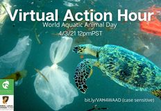 Animal Rights Collective Portland