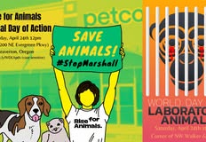 Animal Rights Collective Portland