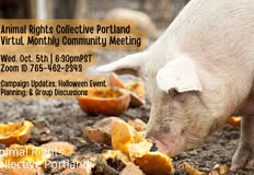 Animal Rights Collective Portland
