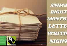 Animal Rights Collective Portland