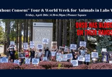 Animal Rights Collective Portland