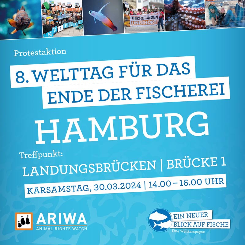 Animal Rights Watch e.V. - ARIWA