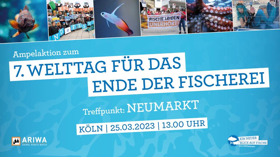 Animal Rights Watch e.V. - ARIWA