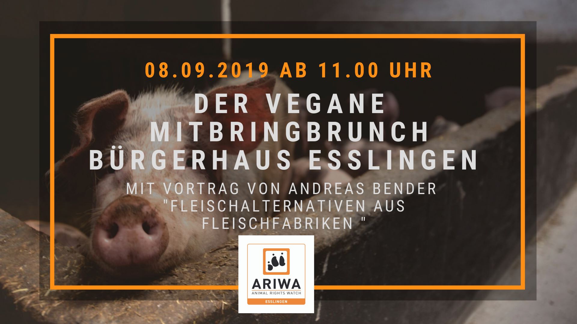 Animal Rights Watch e.V. - ARIWA