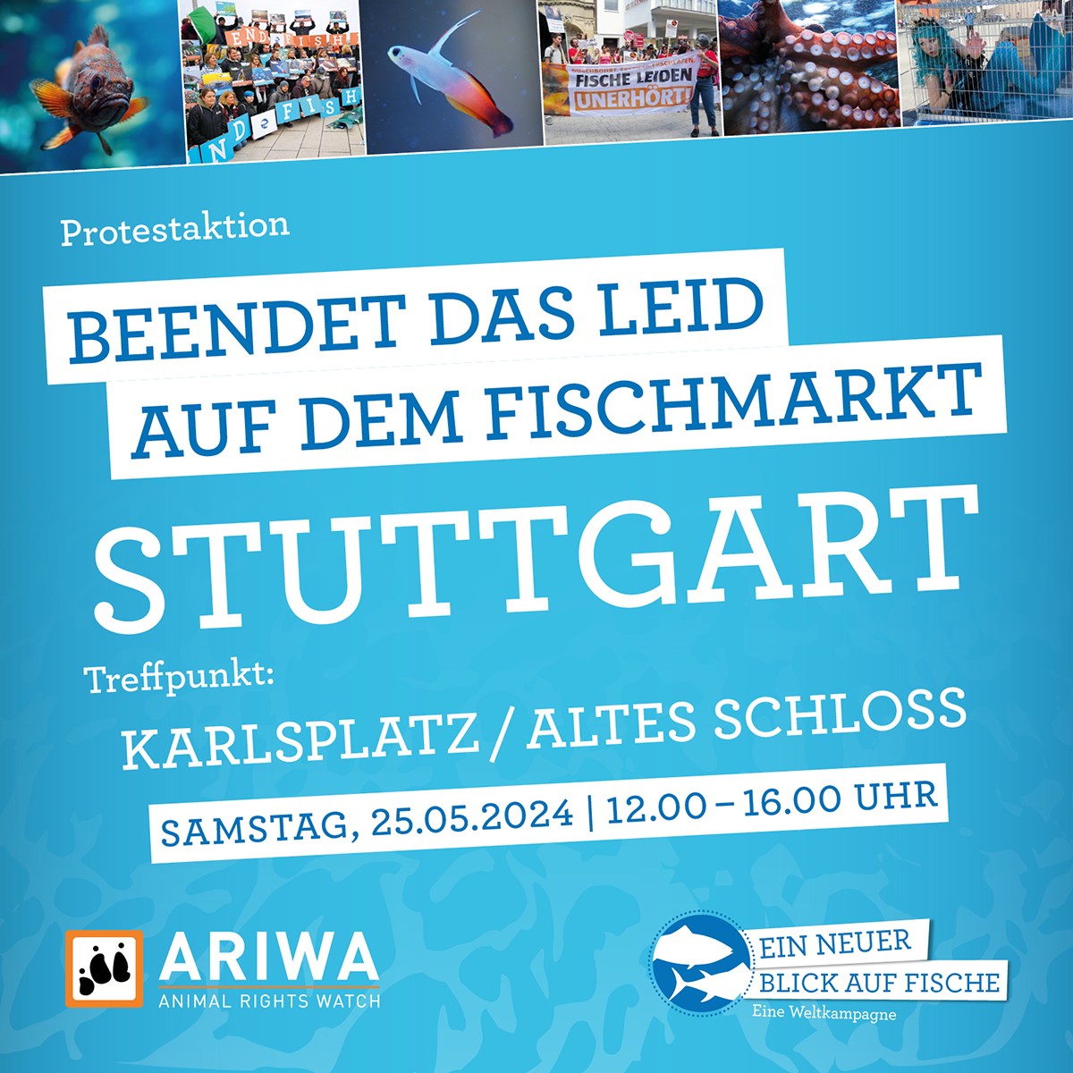 Animal Rights Watch e.V. - ARIWA