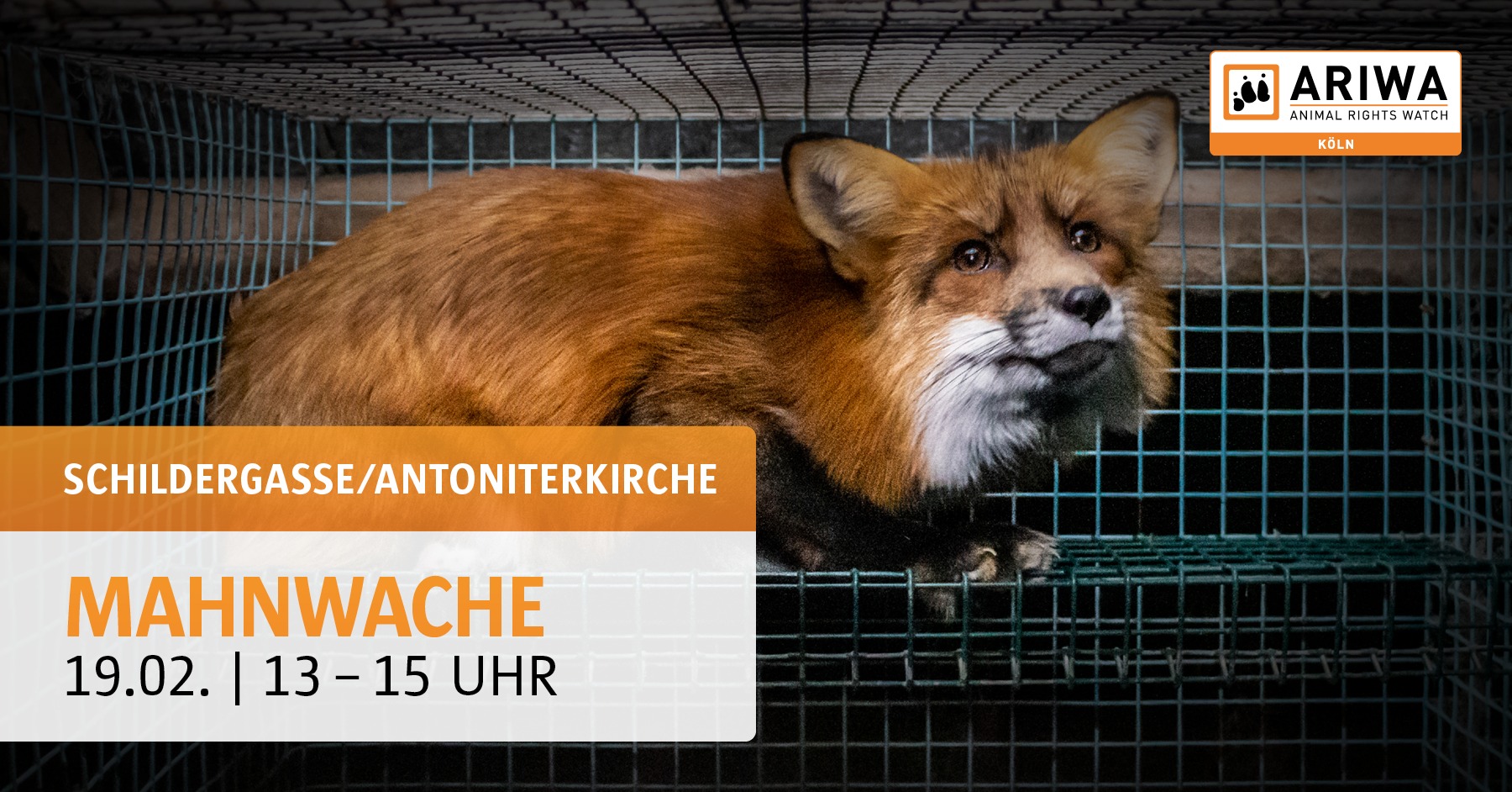 Animal Rights Watch e.V. - ARIWA