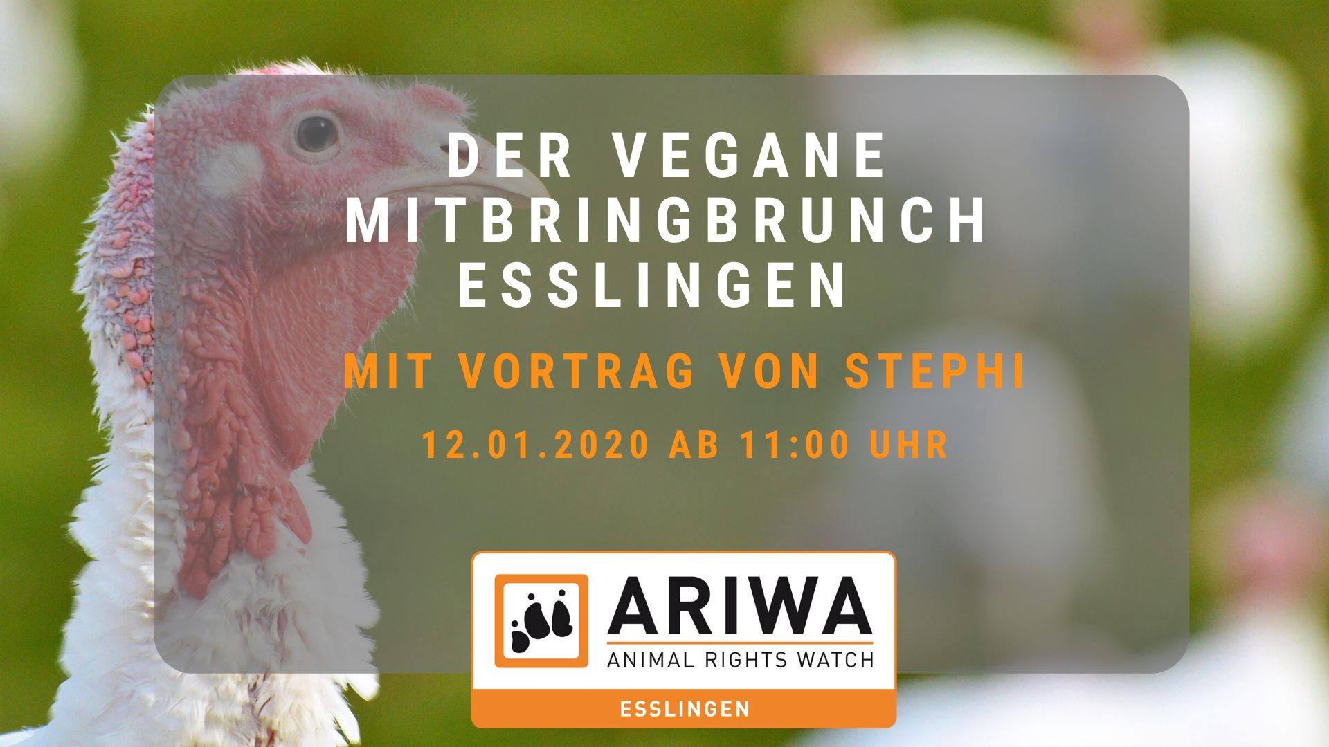 Animal Rights Watch e.V. - ARIWA