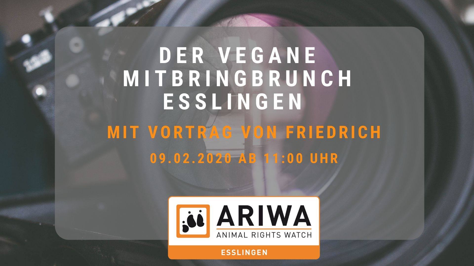 Animal Rights Watch e.V. - ARIWA