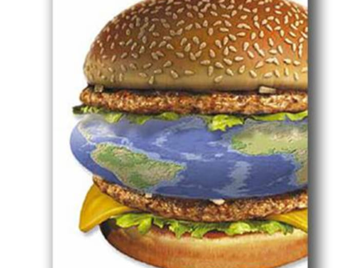 Animal Rights Watch e.V. - ARIWA