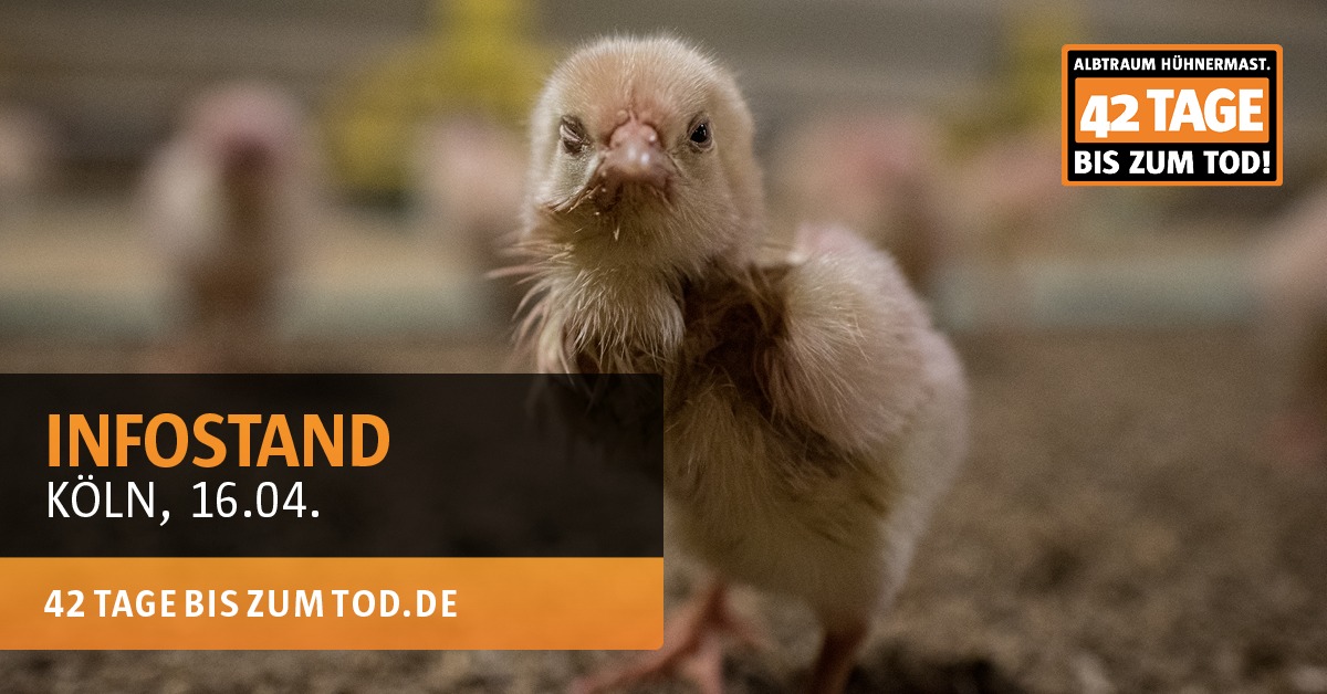 Animal Rights Watch e.V. - ARIWA