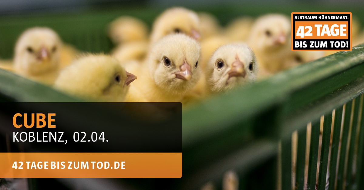 Animal Rights Watch e.V. - ARIWA