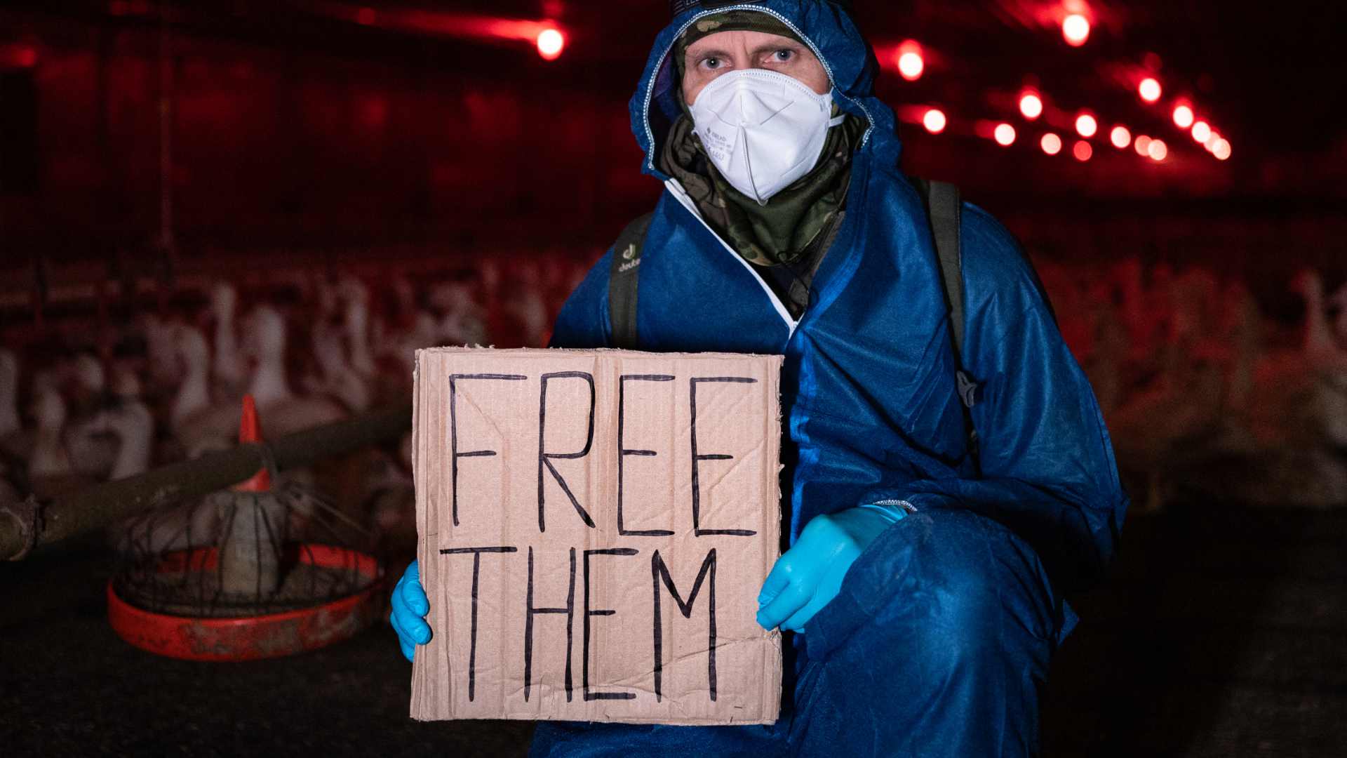 Animal Rights Watch e.V. - ARIWA