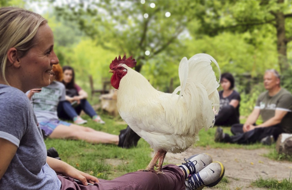 Animal Rights Watch e.V. - ARIWA