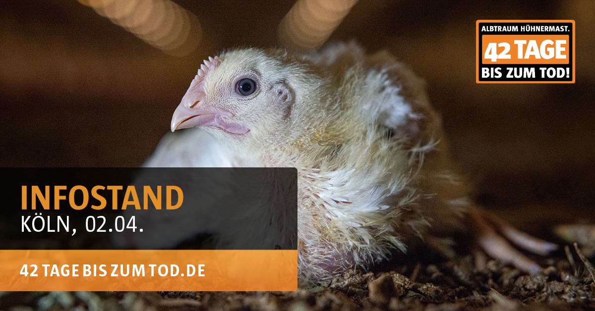 Animal Rights Watch e.V. - ARIWA