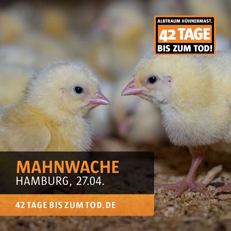 Animal Rights Watch e.V. - ARIWA