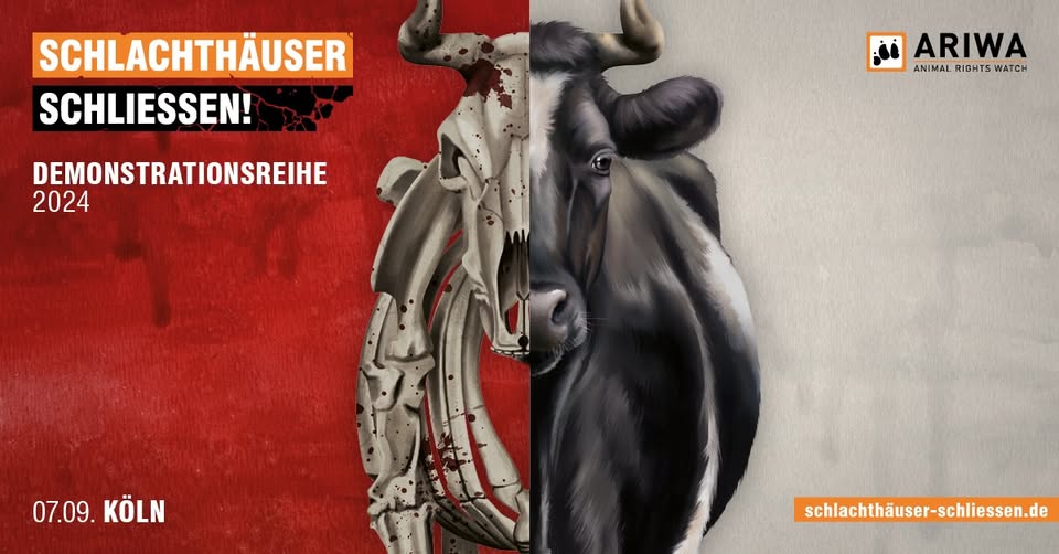 Schlachthäuser schließen