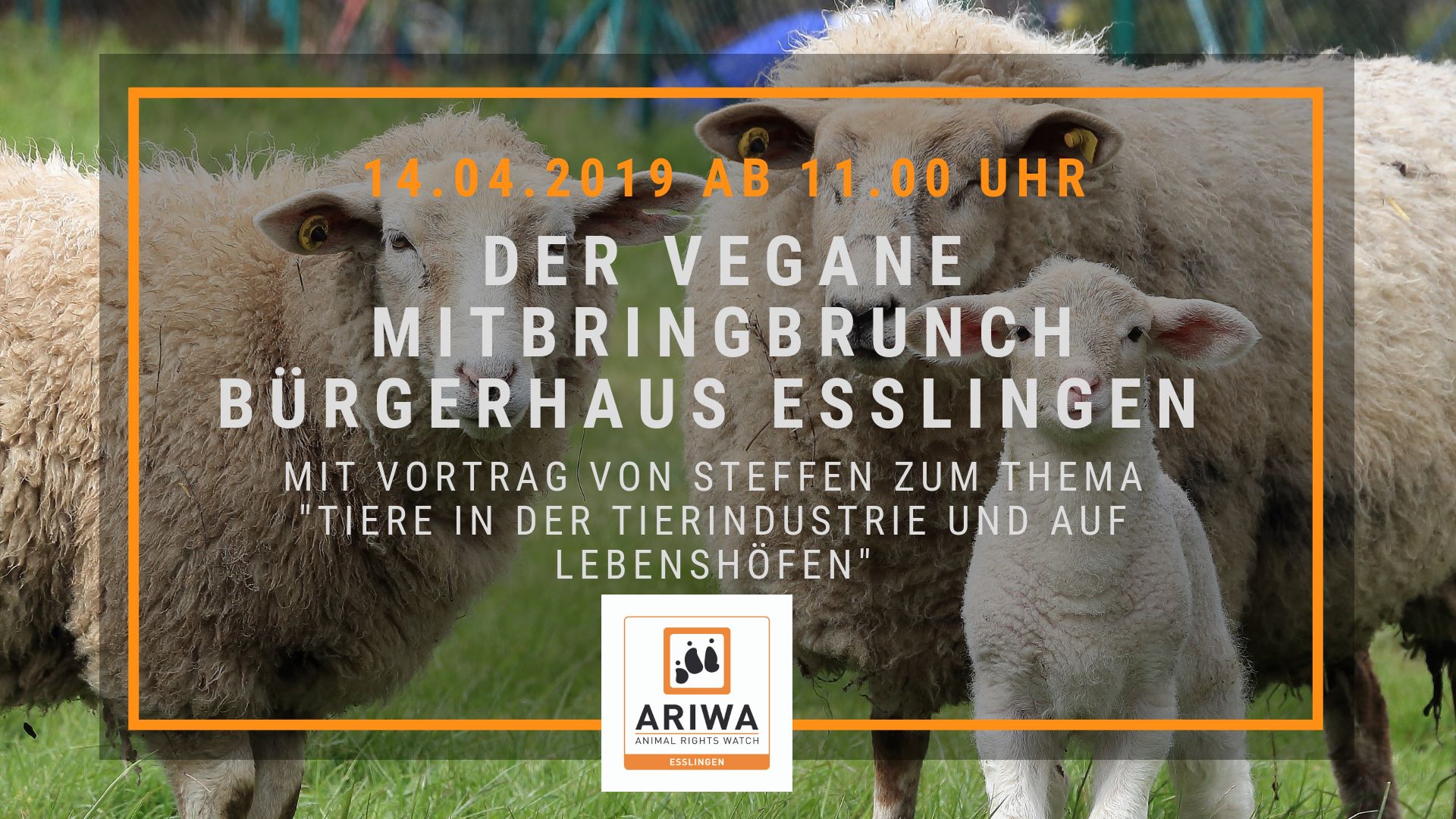 Animal Rights Watch e.V. - ARIWA