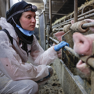 Animal Rights Watch e.V. - ARIWA