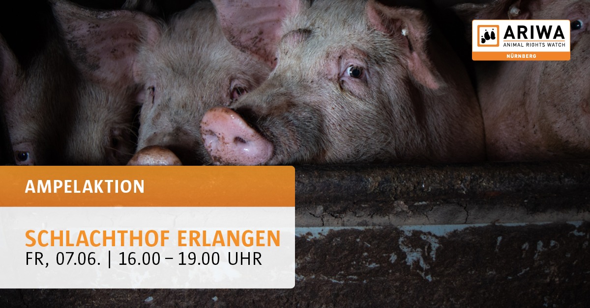 Animal Rights Watch e.V. - ARIWA
