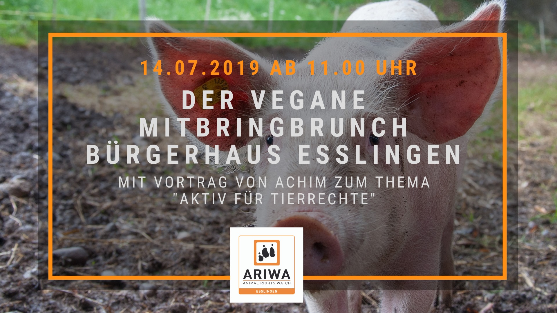 Animal Rights Watch e.V. - ARIWA