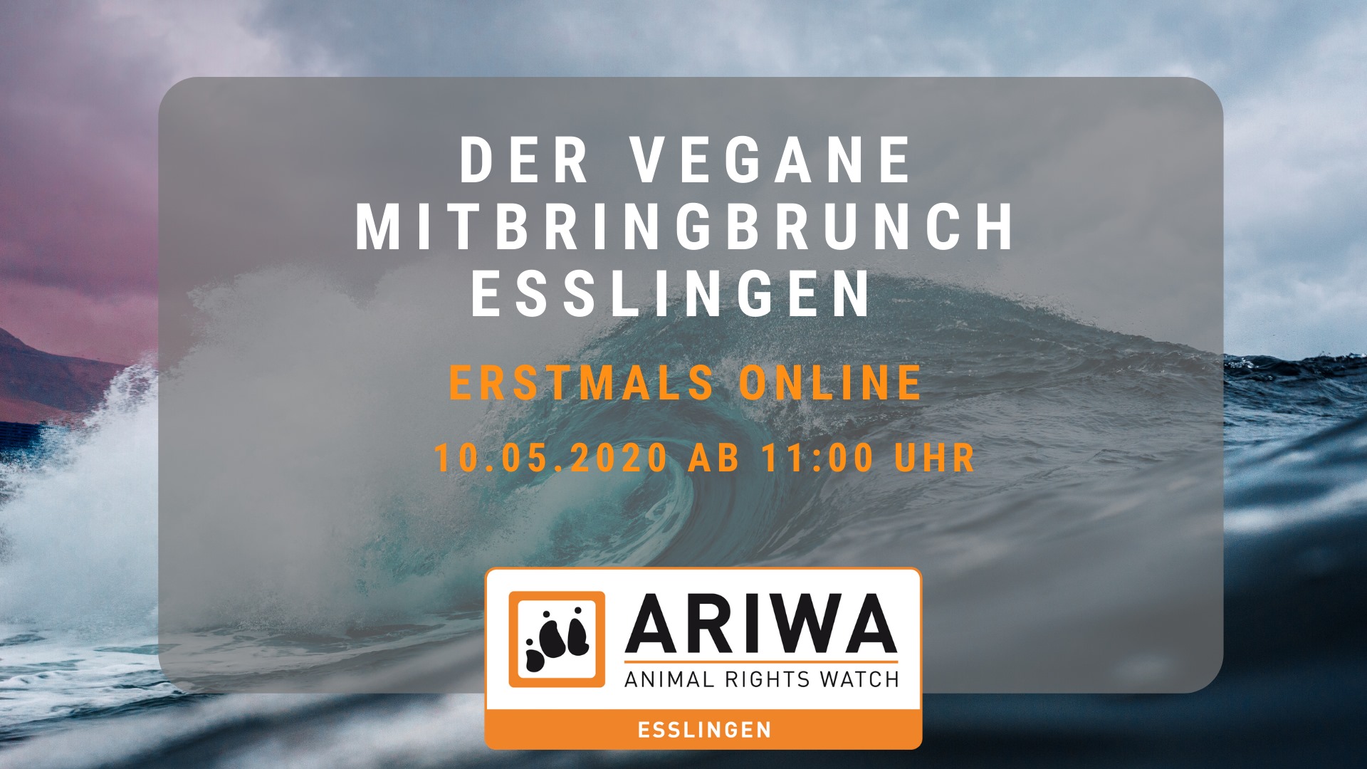 Animal Rights Watch e.V. - ARIWA