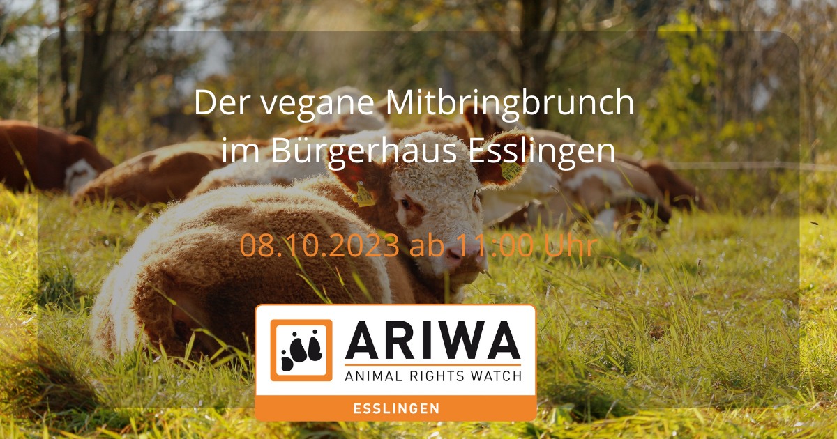 Animal Rights Watch e.V. - ARIWA