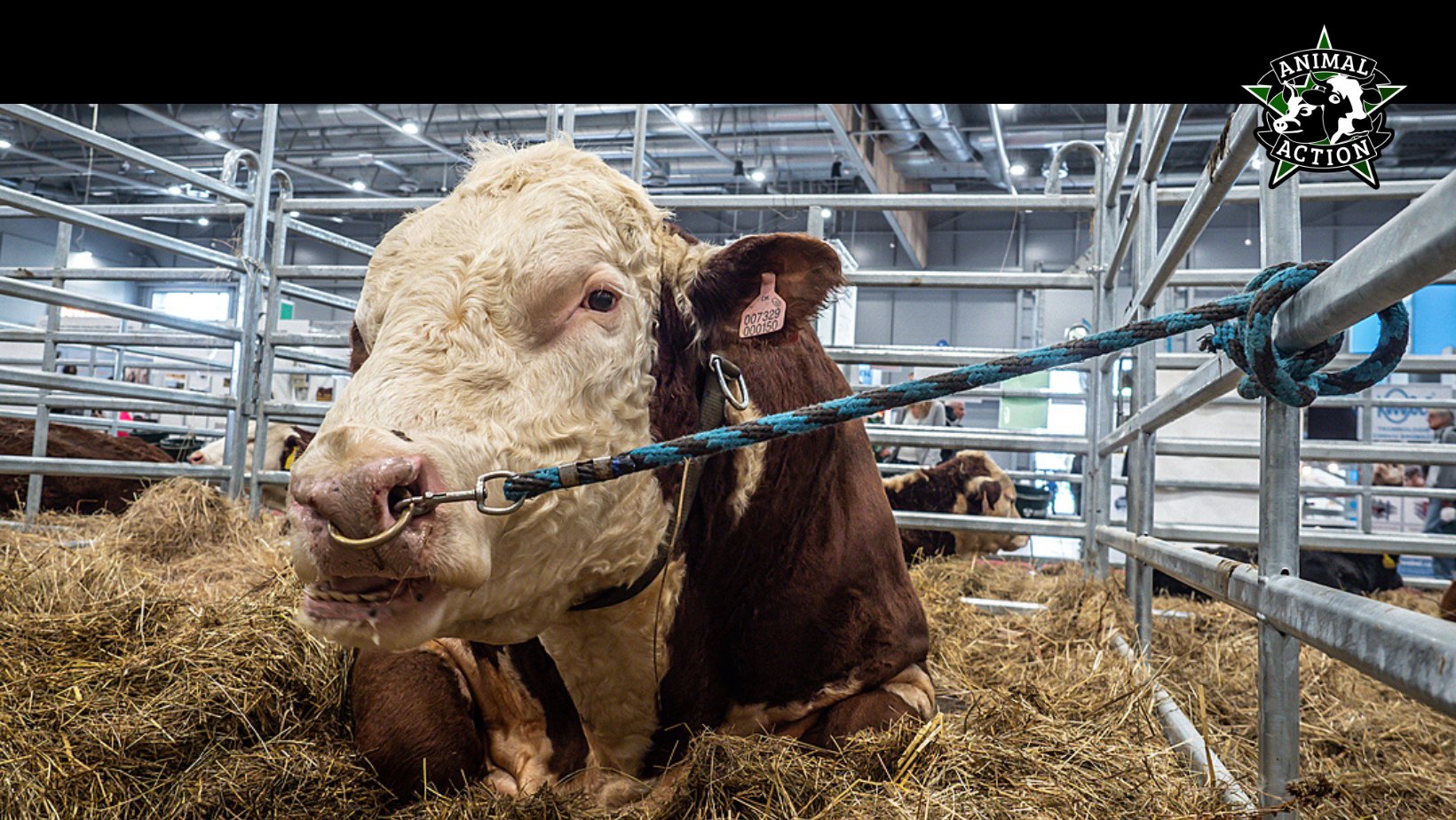 Animal Rights Watch e.V. - ARIWA