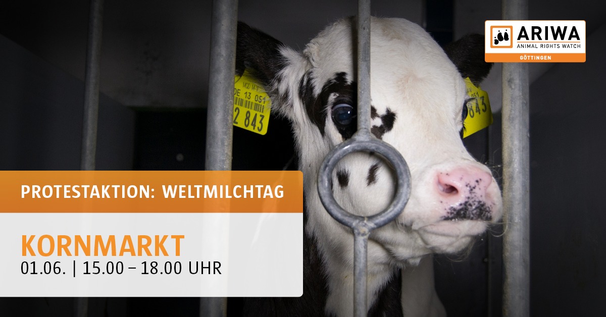Animal Rights Watch e.V. - ARIWA