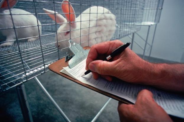 Animal Rights Watch e.V. - ARIWA