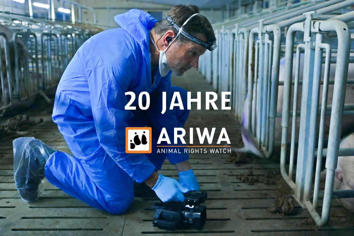 Animal Rights Watch e.V. - ARIWA