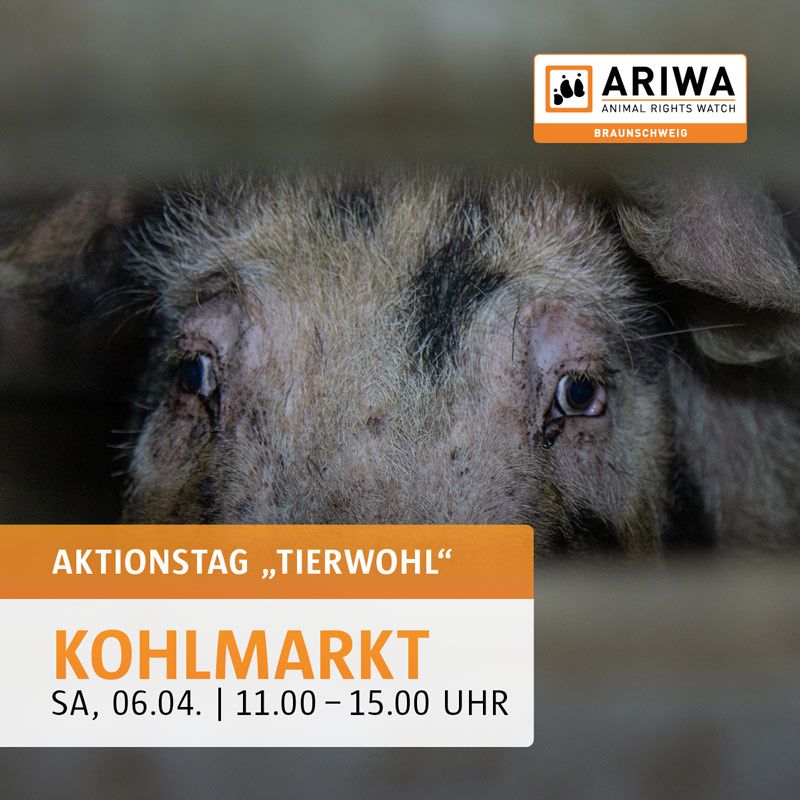Animal Rights Watch e.V. - ARIWA