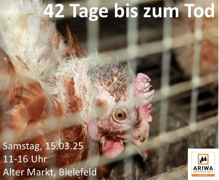 Animal Rights Watch e.V. - ARIWA