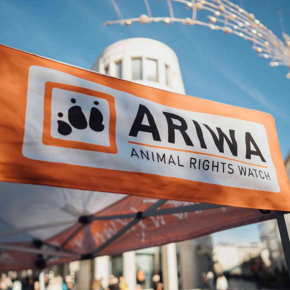Animal Rights Watch e.V. - ARIWA