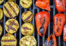 Animal Rights Watch e.V. - ARIWA