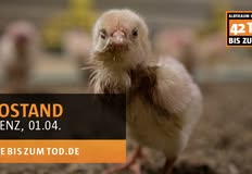 Animal Rights Watch e.V. - ARIWA