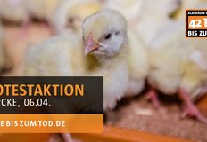 Animal Rights Watch e.V. - ARIWA