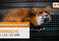 Animal Rights Watch e.V. - ARIWA