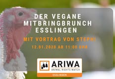 Animal Rights Watch e.V. - ARIWA