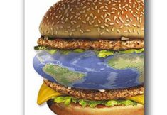 Animal Rights Watch e.V. - ARIWA