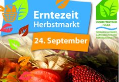 Animal Rights Watch e.V. - ARIWA