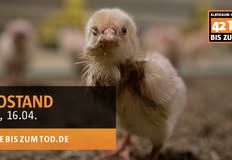 Animal Rights Watch e.V. - ARIWA