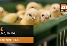 Animal Rights Watch e.V. - ARIWA